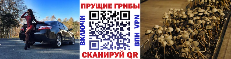 Купить закладки  Партизанск  Галлюциногенные грибы мухоморы 